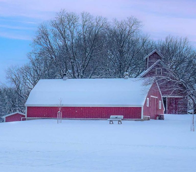 two red barns covered in snow with a bench in the foreground