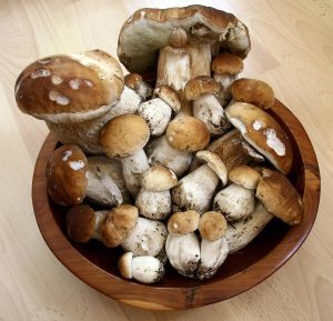 Brown and white porcini mushrooms in a dark wooden bowl on top of a light wooden table.
