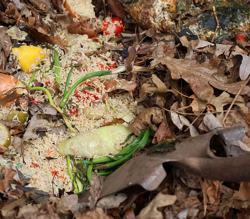 C ompost bin with food and leaves.
