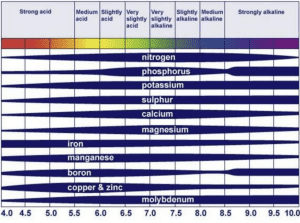 A chart showing a ph scale, and how it affects the availibility of nitrogen, phosphorus, potassium, sulphur, calcium, magnesium, iron, maganese, boron, copper & zinc, molybdenum.