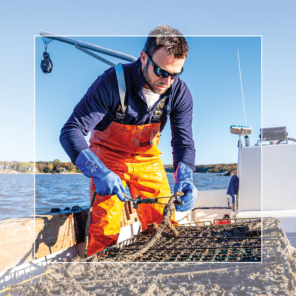 fisherman on a boat checking a crate of oysters.
