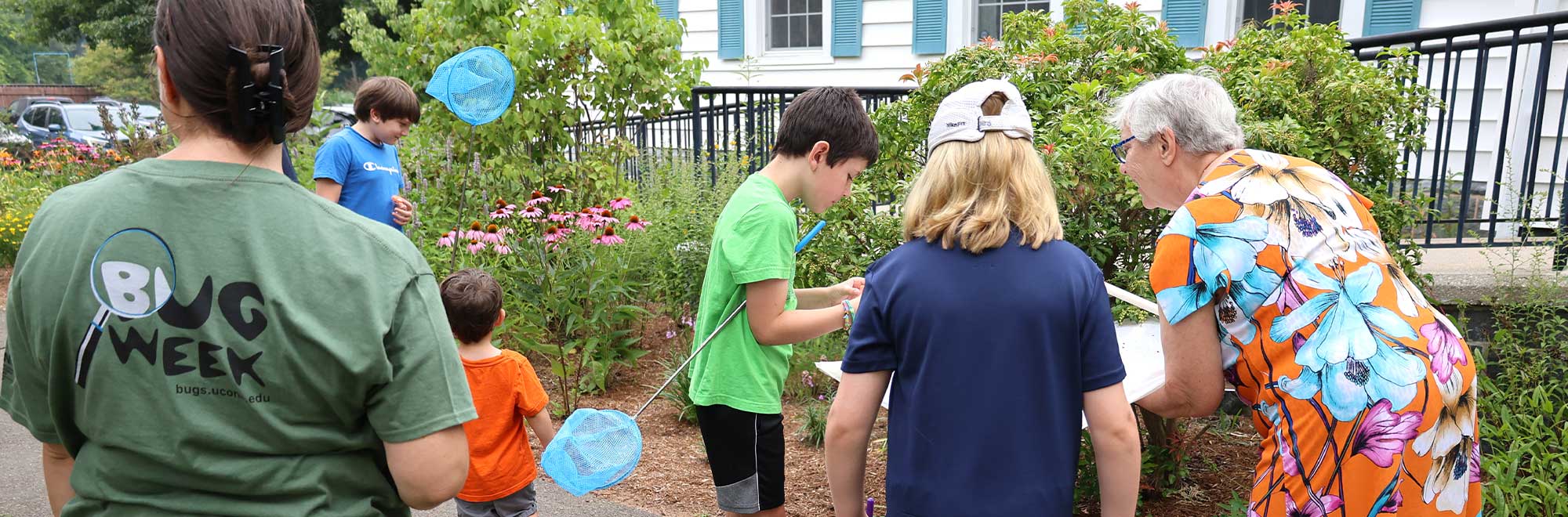 Kids with bug nets looking at bugs outside.
