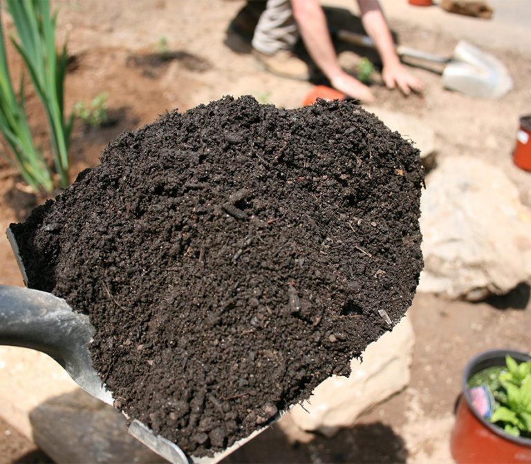 Shovel full of topsoil